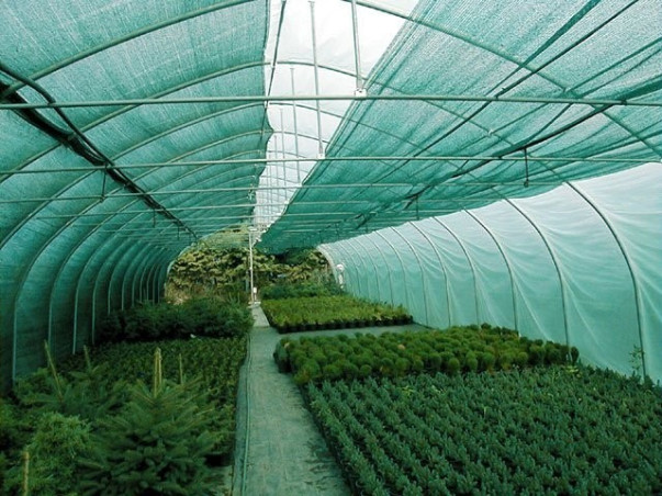 Belátásgátló, szélfogó és árnyékoló háló LIGHTTEX 90 1 x 50 m 80%