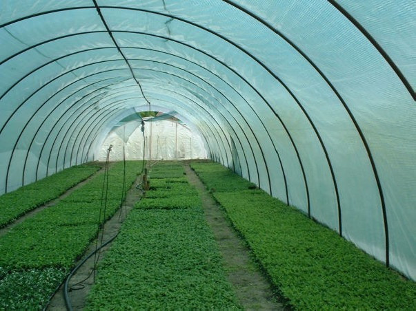 Belátásgátló, szélfogó és árnyékoló háló LIGHTTEX 90g 1 m x 10 m 80%