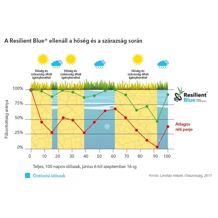Barenbrug Resilient Blue Lawn fűmag 1kg